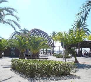 Ausflugstipp: Port D'Alcudia