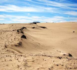 Dünenlandschaft