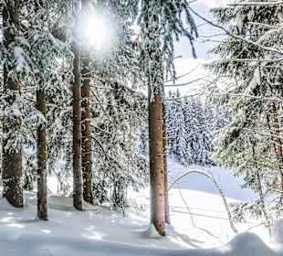 Wandern Reith im Alpbachtal