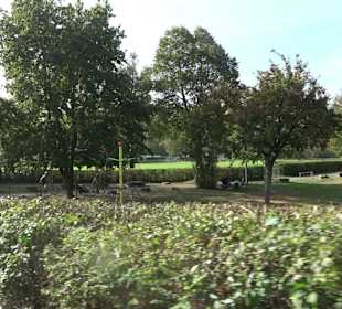 Spielplatz Nähe Aileswasensee