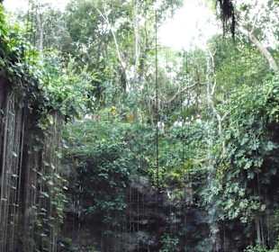 Baden in der Cenote