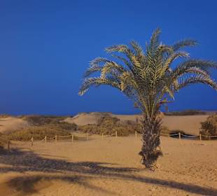 Dünen von Masapalomas