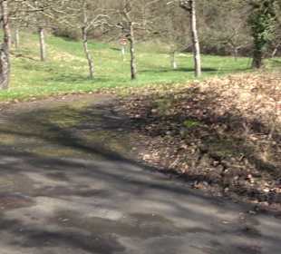 Hirschauer Spitzbergwegle (Premiumspazierwanderweg