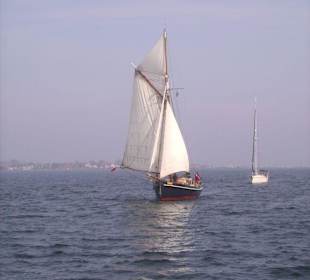 Segelboote auf der Schlei vom Schiff aus