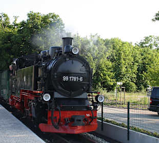 Rasender Roland ( RBB )