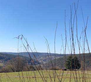 Wandern Dammbach