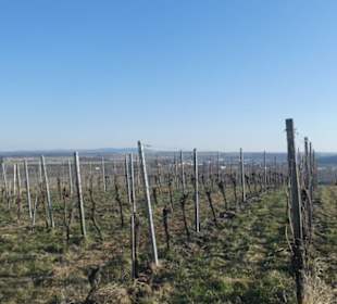 Blick von der sogen. Sternwarte, Sulzfeld am Main