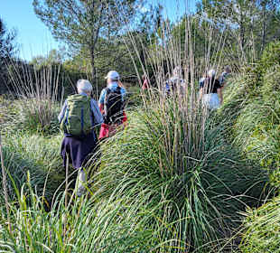 Wandern Cala Ratjada