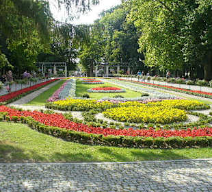 Park Solankowy