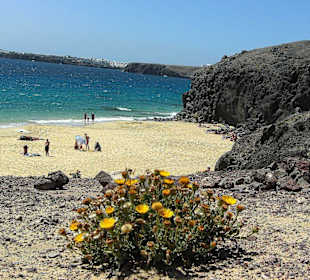Playa de Papagayo