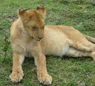 Mama ich habe Hunger