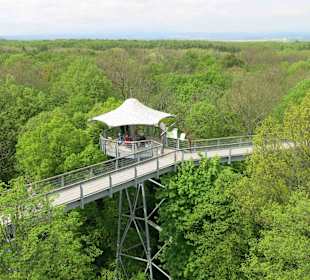Baumkronenpfad Nationalpark Hainich