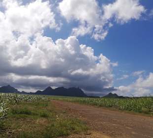 Geführte Touren Andrea Rodrige