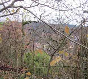 Schlangenweg zum Philosophenweg