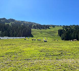 Wandern Hippach