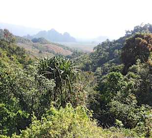 Khao Sok Nationalpark