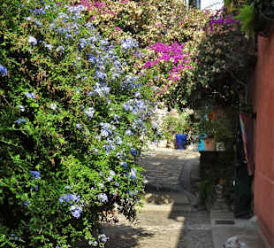 Impressionen aus der Altstadt von Collioure