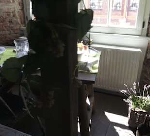 Erlebniszentrum von Villeroy & Boch