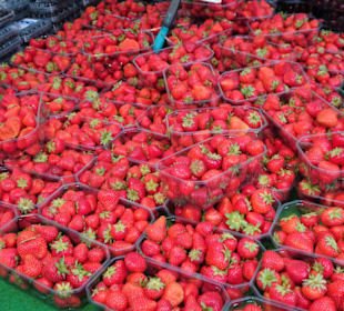 Eindrücke vom Wochenmarkt am Wilhelmsplatz