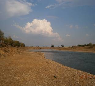 Mures River near the village of Sambateni
