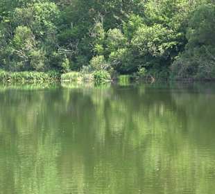 Rundwanderung Klingenbachtal - Sulzbachsee