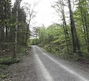 Barfußpfad Firstwald