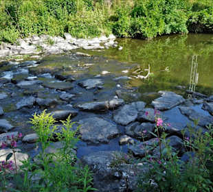 Impressionen vom Landesgartenschau-Park
