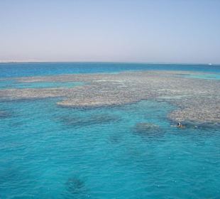 Unser zweiter Schnorchel-Stop