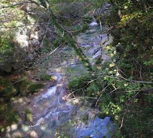 Горный нацпарк Истоки реки Уредерра, Наварра