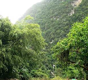 Khao Sok River - Kanufahrt