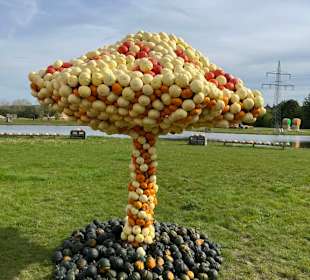 Krewelshof  Kürbisschau 2022 (Wundersame Waldwesen