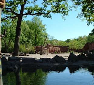 Zoo