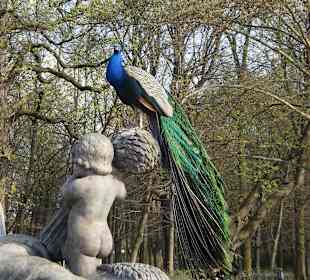 Łazienki Królewskie