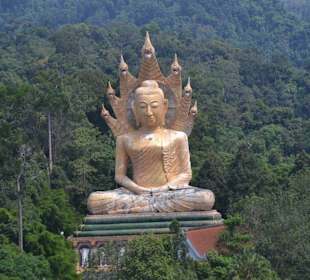 Buddha auf Nagaschlange