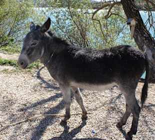 Jeep Safari Taurus Gebirge - Essenspause