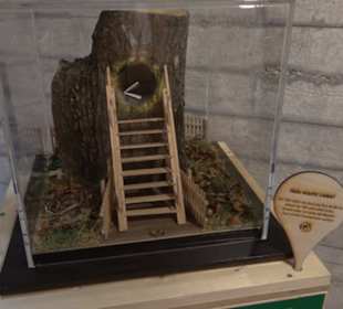 Museum Römer und Bajuwaren