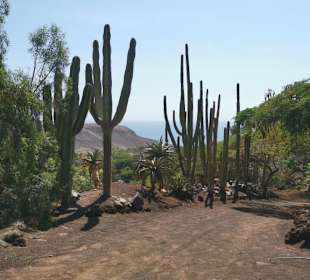 Ausblick vom oberen Teil des Parks