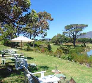Cape Point Vineyards in Noordhoek