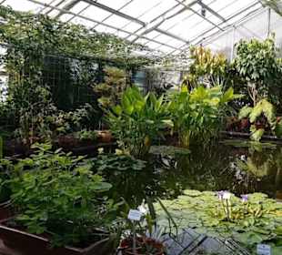 Botanischer Garten