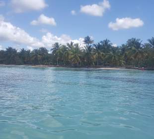 Saona