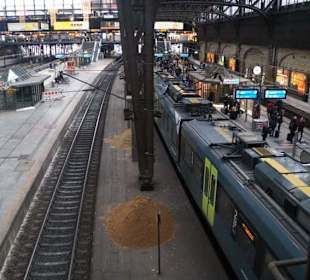 Hamburger Hauptbahnhof