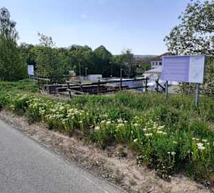 Römischer Vicus Eisenberg in Eisenberg (Pfalz)