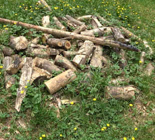 Schlichemquelle Tieringen