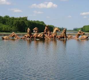 Brunnen in Mitten des Gartens