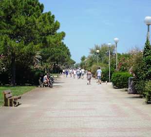Spaziergang über die Strandpromenade Argelès-Plage
