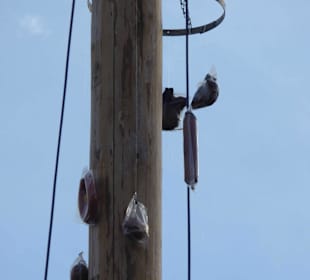 Würste und Fleisch für die Kraxler hängen