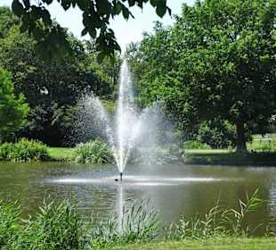 Rundgang durch den Doctor Zamenhofpark