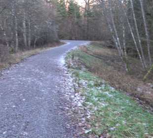 Wanderung rund um den Ochsenweiher