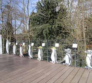 Zoo Landau