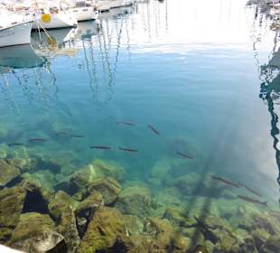 Hafen Puerto de Mogan
